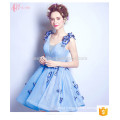 Korean Flower Blue 2017 Ladies Summer Appliqued Short Women Evening Dress